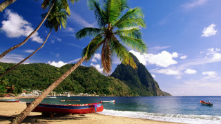 Beach boat palm trees mountain 3 - felipe seade free wallpaper for desktop