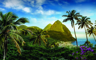 Tropical landscape palm trees mountain - tropical free wallpaper