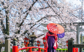 Woman kimono umbrella cherryblossoms bridge - a woman in a kimono holding free wallpaper