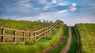 Wooden fence grassy hill dirt - depth of field free wallpaper