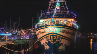 Boat christmas lights city night - a boat in the background free wallpaper