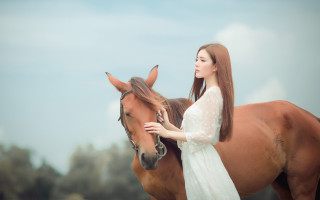 Woman white dress horse deer - a brown horse free wallpaper