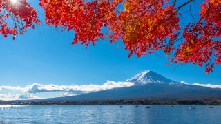 Mountain lake snow capped peak - a mountain free wallpaper