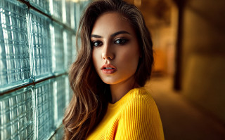 Woman longhair yellow sweater glass - a yellow sweater free wallpaper