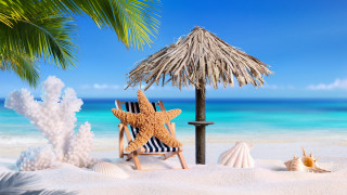 Starfish beach chair palm tree - summer free wallpaper