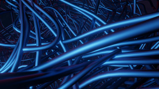 Wires bamboo forest night bridge - visible free wallpaper for desktop