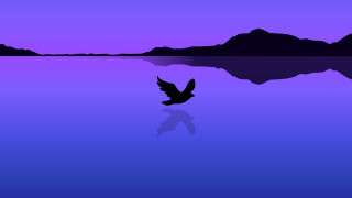 Bird lake mountains night purple - over a lake free wallpaper