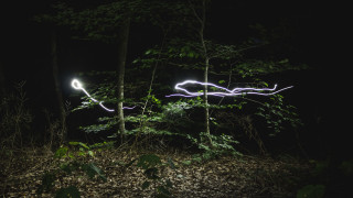 Light painting tree light trail - bruce munro free wallpaper