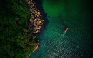 Boat shore trees rocks green - the water near a shore line free wallpaper
