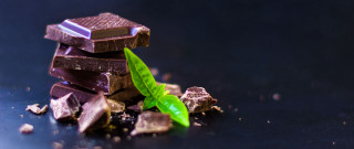 Chocolate leaf pile night sky - clara peeters free wallpaper