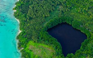 Lake forest aerial green nature - aerial free wallpaper