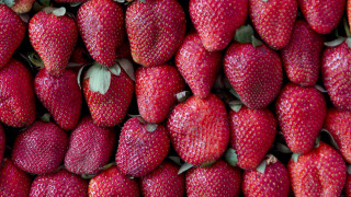 Large pile strawberries market stall - berry free wallpaper