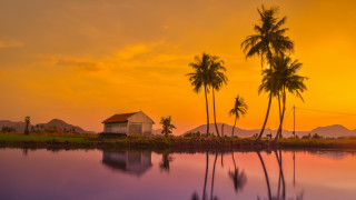 Lake shore house palm trees - ding guanpeng free wallpaper