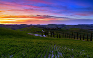 Sunset green field road house - a house in the distance free wallpaper