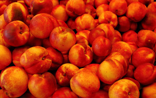 Red apples pile summer vibrant - red apple free wallpaper