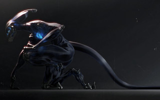 Black blue animal long tail - a blue light free wallpaper for desktop