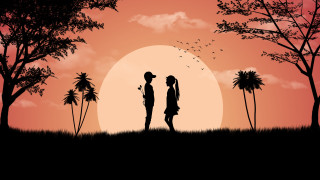 Romantic sunset couple palm trees - a couple standing free wallpaper