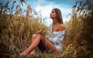 Woman wheat field sky sitting - a field of wheat free wallpaper