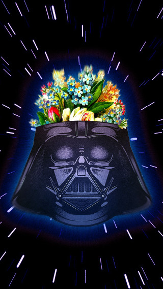 Darth vader flower pot planet - free holidays wallpaper for mobile