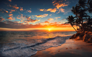 Sunset ocean palm trees rocky 2 - the shore free wallpaper