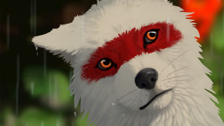 Dog red eyes white fur - nose free wallpaper for desktop