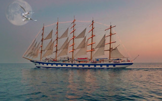 Sailboat fullmoon seagull ocean night - affinity photo free wallpaper