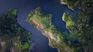 River forest tilt shift nature - isometric free wallpaper