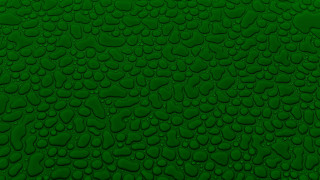 Green water droplets fence leaf - surface free wallpaper