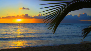 Sunset ocean palm tree boat - a sunset over the ocean free wallpaper for desktop