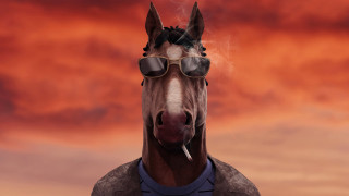 Horse sunglasses shirt cigarette red - arnold free wallpaper for desktop