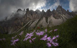 Mountain range purple flowers clouds - a mountain range free wallpaper