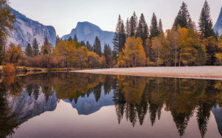 Mountain lake autumn leaves forest - tree and a forest free wallpaper