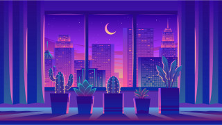 City night cactus window aurora - surreal free wallpaper