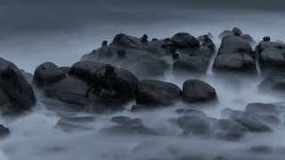 Black white rocks bird fog - volumetric fog free wallpaper