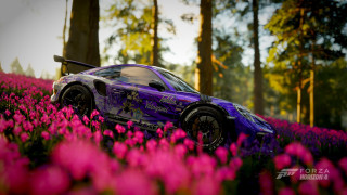 Purple car flower field forest - a purple car free wallpaper for desktop