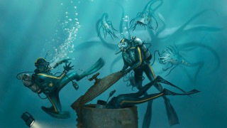 Scuba divers large fish underwater - brian despain free wallpaper