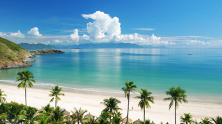 Beach palm trees blue sky 18 - a few person free wallpaper