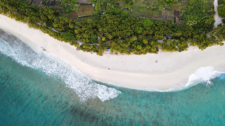 Aerial beach forest tilt shift - a white sand beach free wallpaper