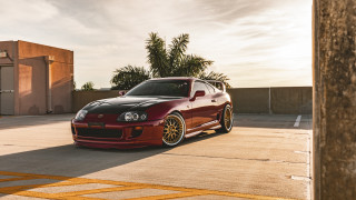 Red sports car palm tree 2 - golden hour free wallpaper