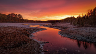 River forest sunset clouds cityscape - warm color free wallpaper