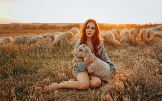 Woman sitting field sunset sheep - leesha hannigan free wallpaper for desktop