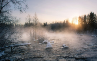 River fog bench forest winter - the background and a bench in the foreground free wallpaper
