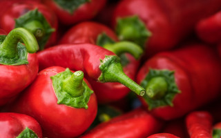 Red peppers green stems food - green stem free wallpaper for desktop