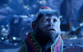 Monkey hat scarf looking up - a monkey with free wallpaper