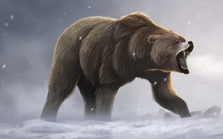 Bear snowstorm open mouth walking - mouth open free wallpaper