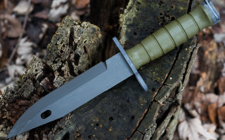 Knife tree stump woods leaves - a cord free wallpaper