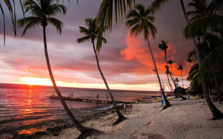 Beach palm trees sunset boat - palm tree and a boat free wallpaper
