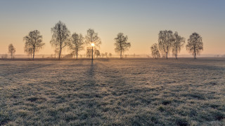 Sunset field trees grass lake - a.b. frost free wallpaper for desktop