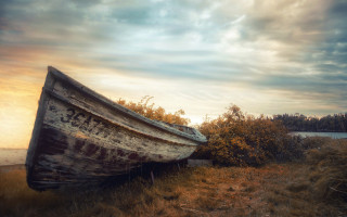 Boat lake drygrass trees clouds - a dry grass field next free wallpaper