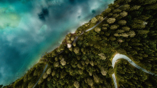 Winding road forest water night - a forest next free wallpaper